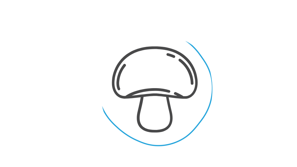 Mushroom Logo