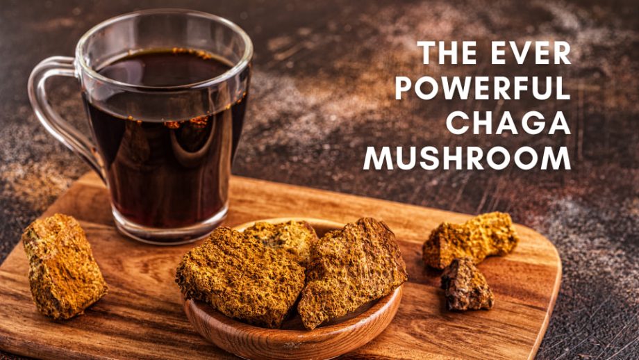 Chaga on table image