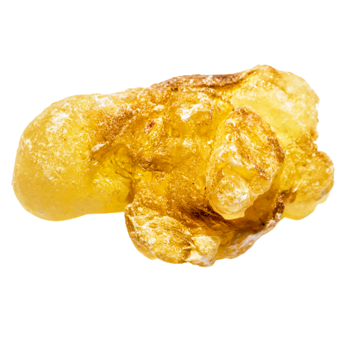 Boswellia