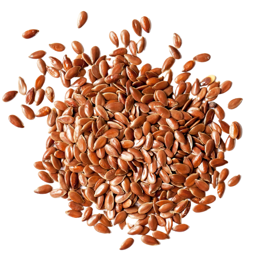 Flax Seed Protein