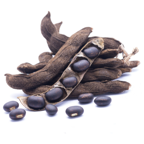 Mucuna Pruriens