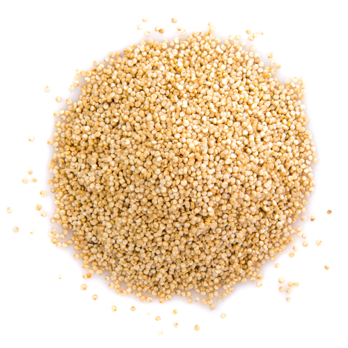 Quinoa Protein