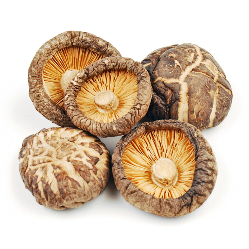 Shiitake