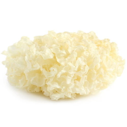 Tremella