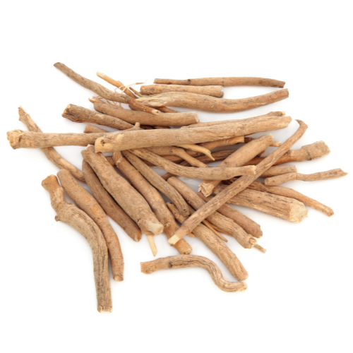 Panax Ginseng