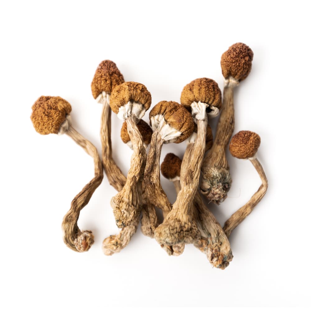 Psilocybin